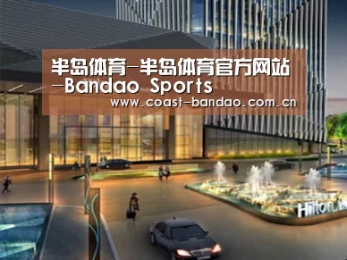 案例展示二(图1)