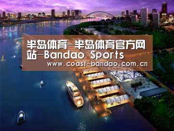案例展示八(图1)
