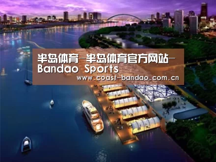 案例展示八